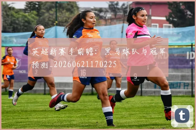 英超新赛季前瞻:黑马球队与冠军预测_20260621170225