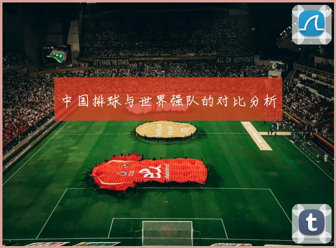 中国排球与世界强队的对比分析