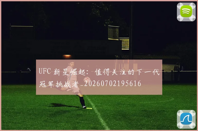 UFC 新星崛起：值得关注的下一代冠军挑战者_20260702195616
